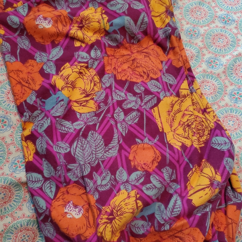 Lularoe TC Leggings